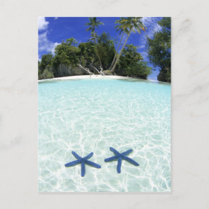 Postal Estrellas de mar, Islas Roca, Palaos