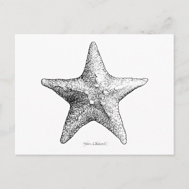 Postal Estrellas de mar que dibujan arte de la estrella (Anverso)