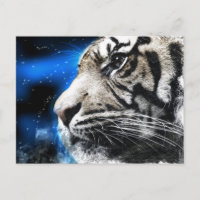 estrellas del cielo nocturno blanco Tigre