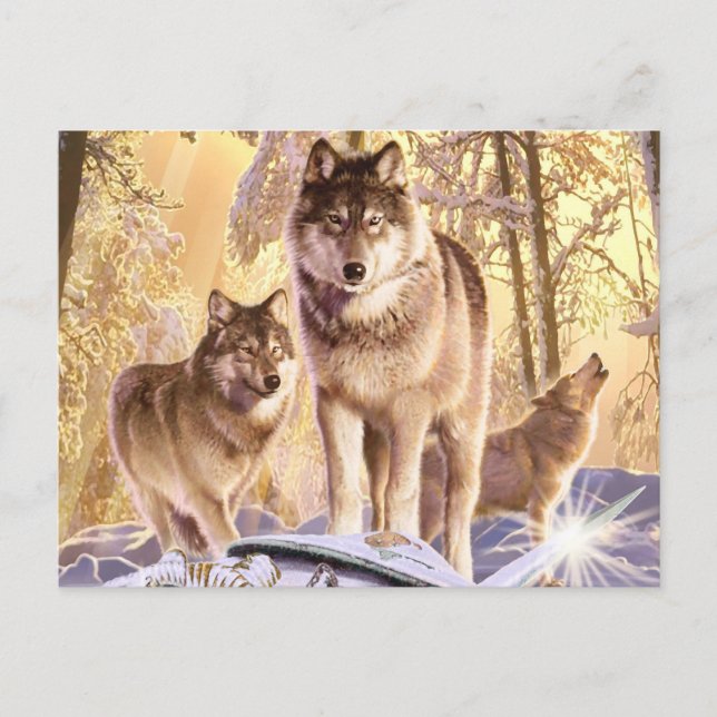 Postal "Estrellas en nieve" (Anverso)