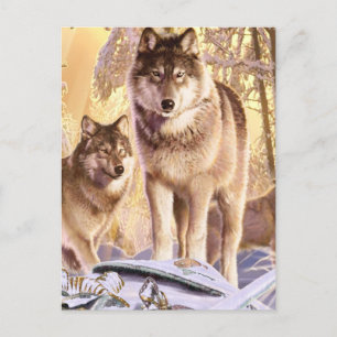 Postal "Estrellas en nieve"