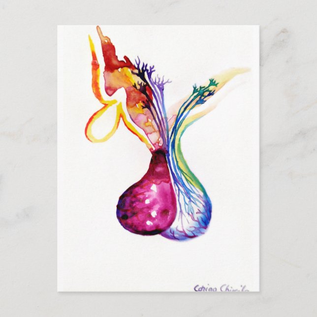 Postal Estructura de la hipófisis (Anverso)