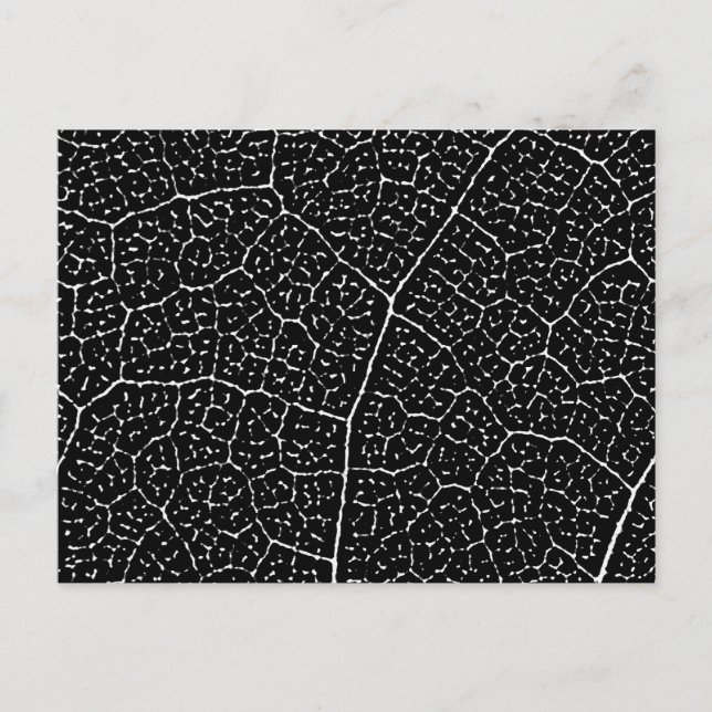 Postal Estructura de las venas de hoja (Anverso)