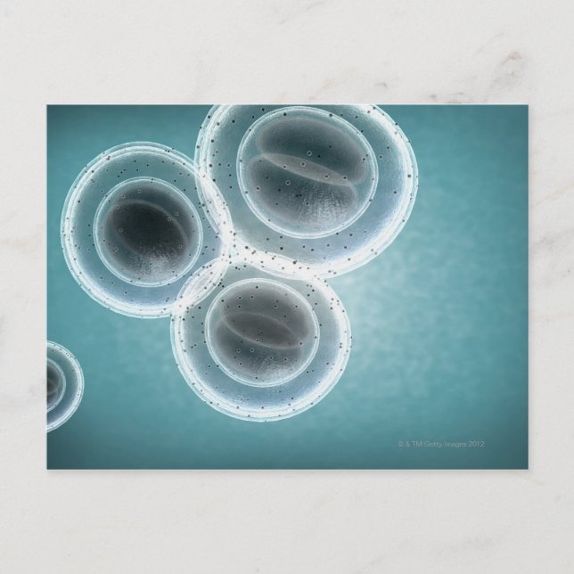 Postal Estructura del SAMR (Anverso)