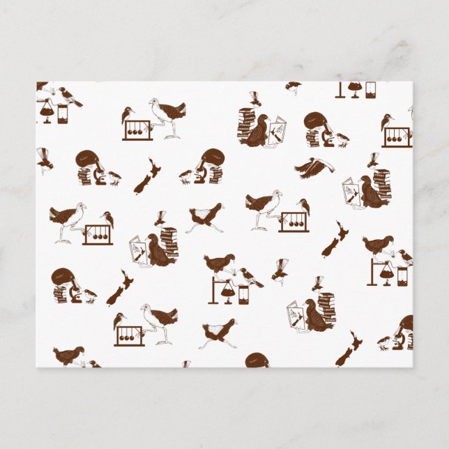 Postal Estudiantes de Ciencia Aves de Nueva Zelanda (Anverso)