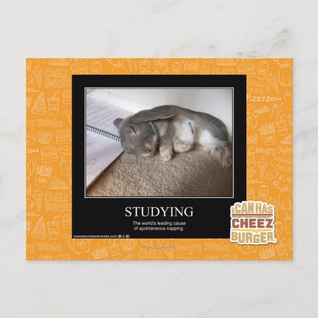 Postal Estudiar (Anverso)