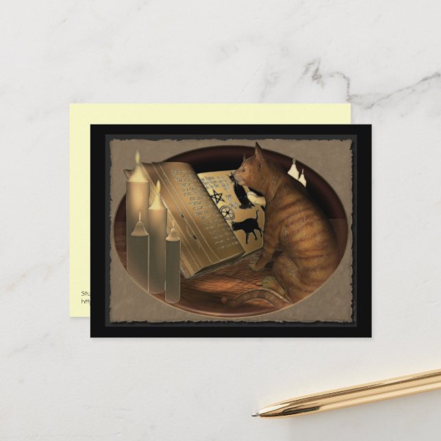 Postal Estudiar lecciones de gatos (Anverso/Reverso In Situ)