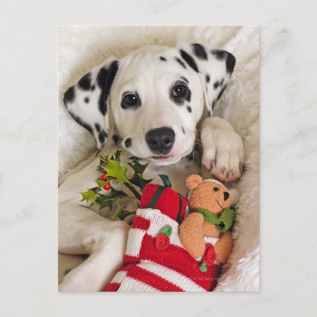 Postal estudio (Anverso)