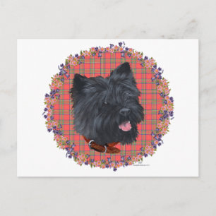 Postal Estudio Black Cairn Head