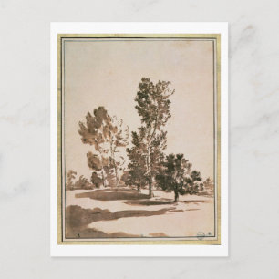 Postal Estudio de árbol (pluma y tinta sobre papel)