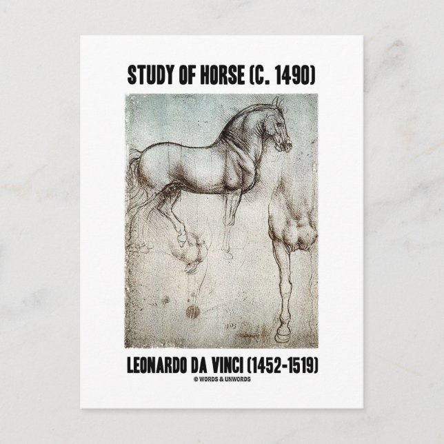 Postal Estudio de caballo (1490) Leonardo da Vinci (Anverso)