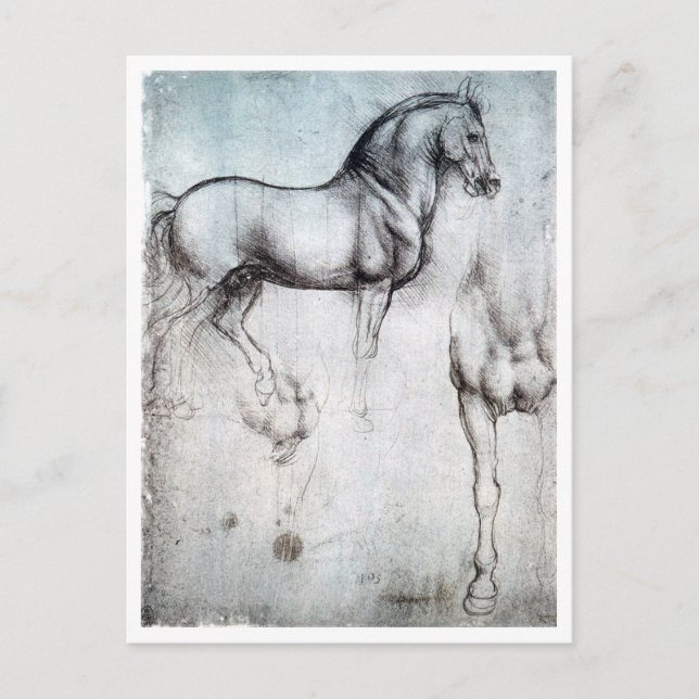 Postal Estudio de caballo, Leonardo da Vinci (Anverso)