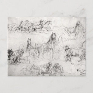 Postal Estudio de caballos