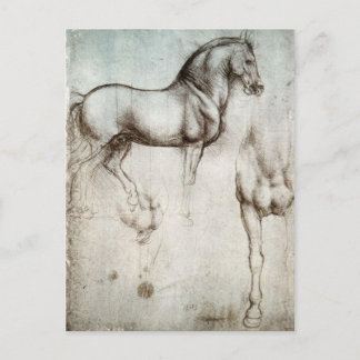 Postal Estudio de caballos - Leonardo da Vinci