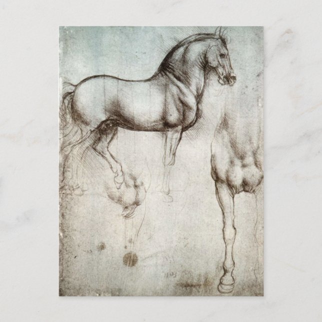 Postal Estudio de caballos - Leonardo da Vinci (Anverso)