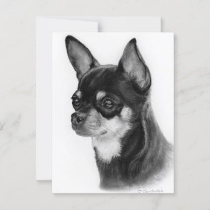Postal Estudio de cabeza de Chihuahua dibujado a mano