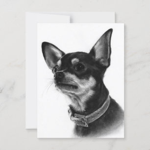 Postal Estudio de cabeza de Chihuahua pintado a mano
