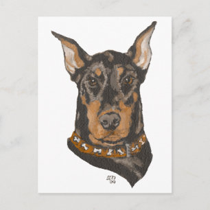Postal Estudio de cabeza de Doberman Pinscher