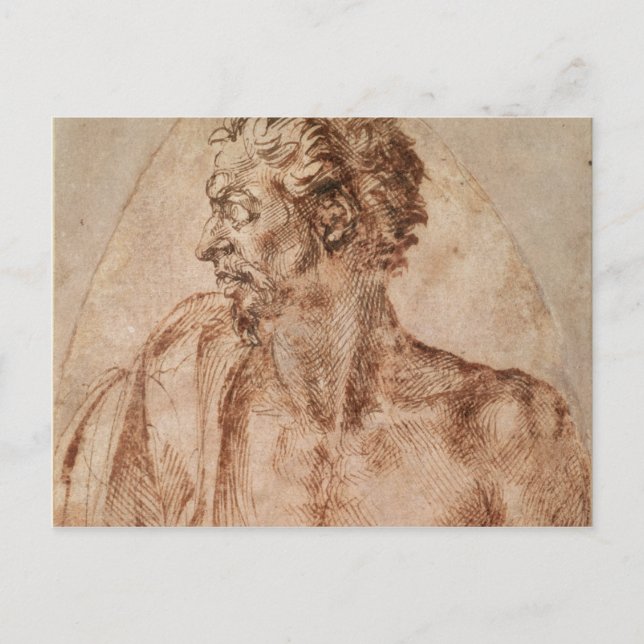 Postal Estudio de cabeza y hombros (Anverso)