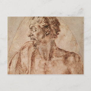 Postal Estudio de cabeza y hombros