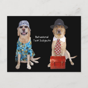 Postal Estudio de comportamiento animal/laboratorio/perro