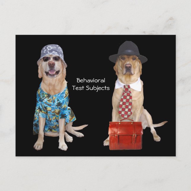 Postal Estudio de comportamiento animal/laboratorio/perro (Anverso)