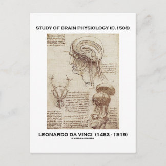 Postal Estudio De Fisiología Cerebral (Leonardo da Vinci 