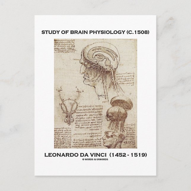 Postal Estudio De Fisiología Cerebral (Leonardo da Vinci  (Anverso)
