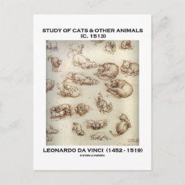 Postal Estudio de gatos y otros animales (Leonardo da Vin
