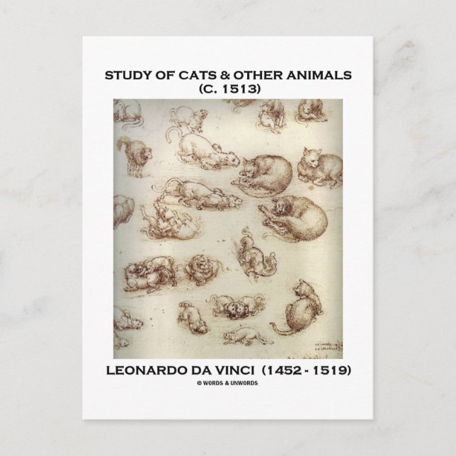 Postal Estudio de gatos y otros animales (Leonardo da Vin (Anverso)
