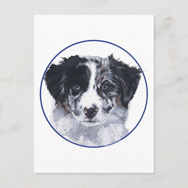 Postal Estudio de la cabeza del Border Collie (Anverso)