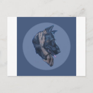 Postal Estudio de la cabeza del pastor alemán