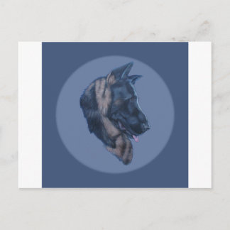 Postal Estudio de la cabeza del pastor alemán