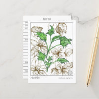 Estudio de la hierba de la planta medicinal de la