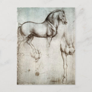 Postal Estudio de los caballos - Leonardo da Vinci