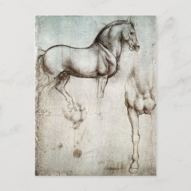 Postal Estudio de los caballos - Leonardo da Vinci (Anverso)