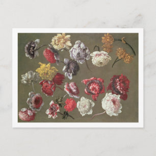 Postal Estudio de Peonies (aceite sobre lienzo)