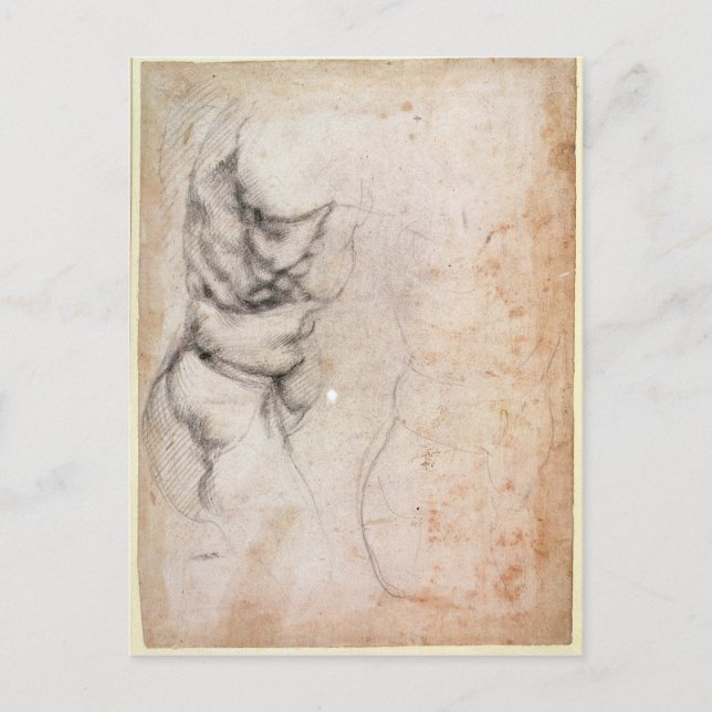 Postal Estudio de torso y nalga (Anverso)