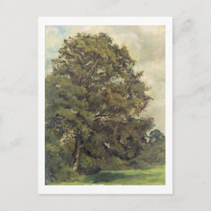 Postal Estudio de un árbol de ceniza, c.1851 (aceite sobr
