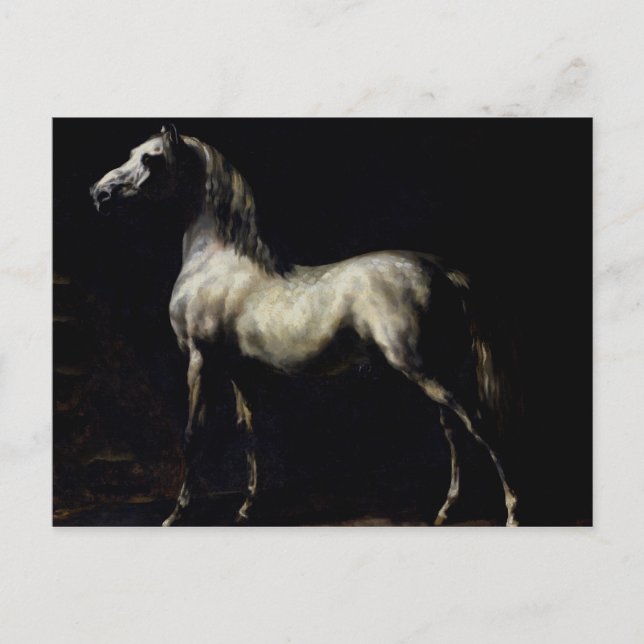 Postal Estudio de un gris de manzana (Anverso)