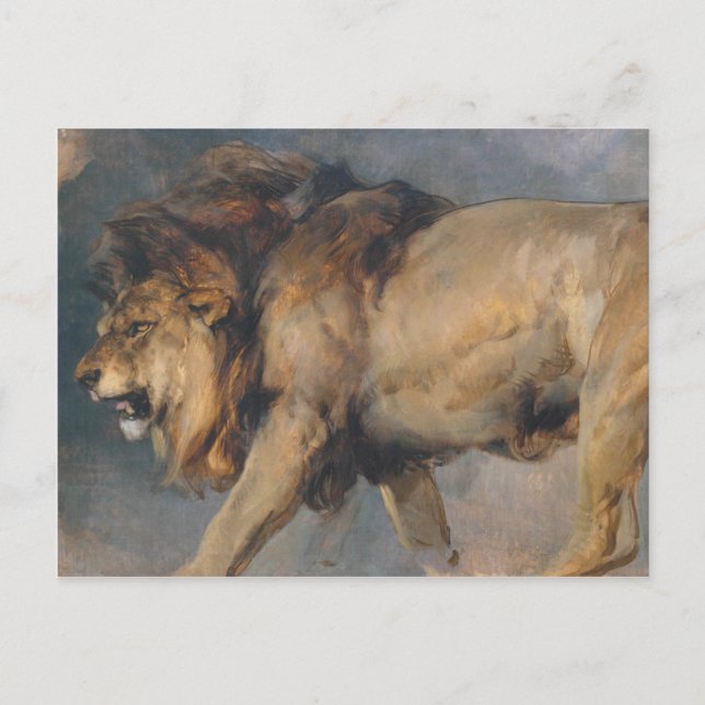 Postal Estudio de un león (por Edwin Henry Landseer) (Anverso)