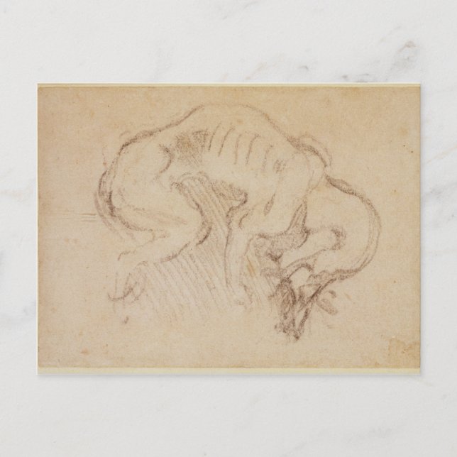 Postal Estudio de un perro (Anverso)