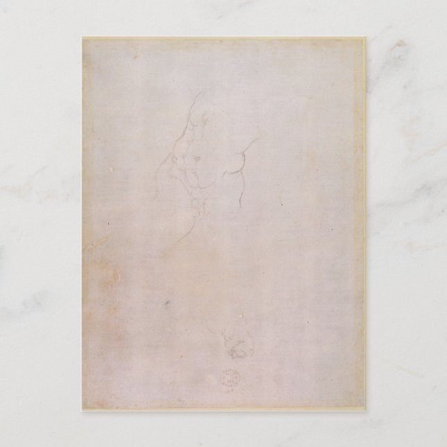 Postal Estudio de un torso masculino (Anverso)