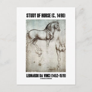 Postal Estudio del caballo (c. 1490) Leonardo da Vinci