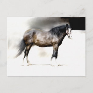 POSTAL ESTUDIO DEL CABALLO DE SHIRE