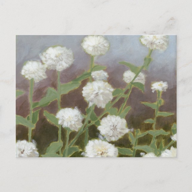 Postal Estudio Jardín Botánico I (Anverso)