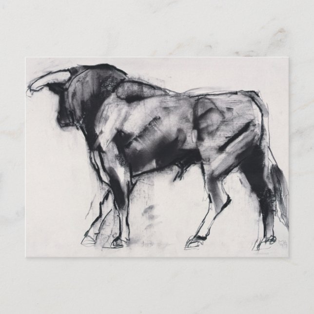 Postal Estudio Toro Azul (Anverso)