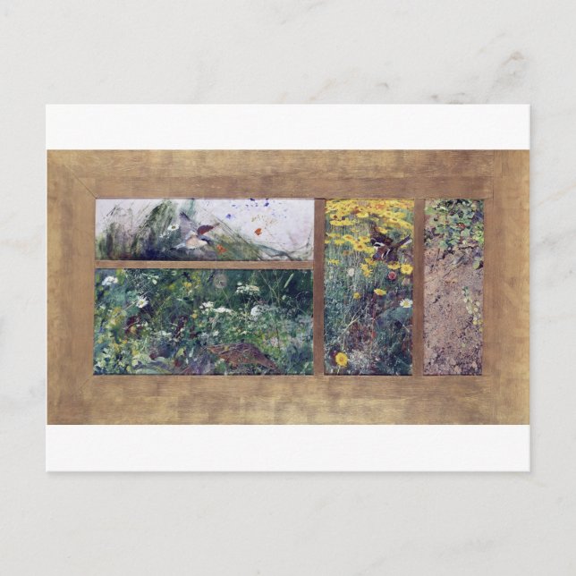 Postal Estudios de aves, Bruno Liljefors (Anverso)