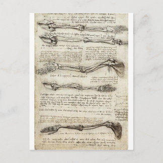 Postal Estudios del brazo