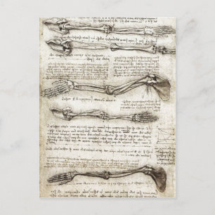 Postal Estudios del brazo mostrando los movimientos reali